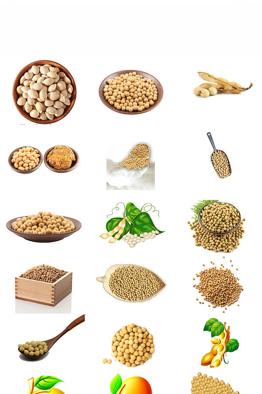 免抠豆类植物黄豆海报设计素材