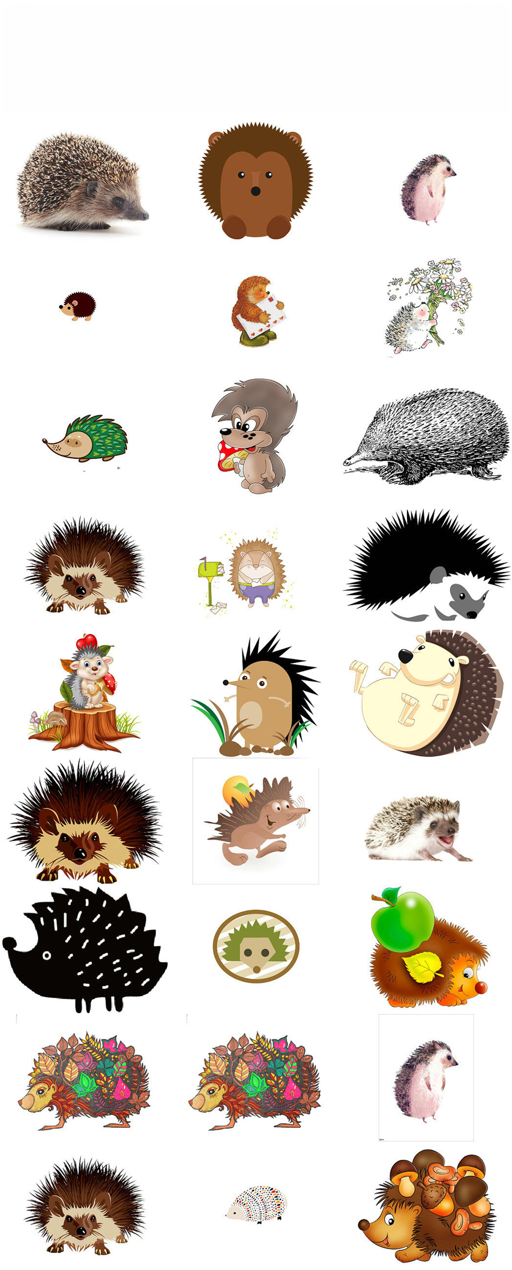 免抠png动物刺猬海报设计素材