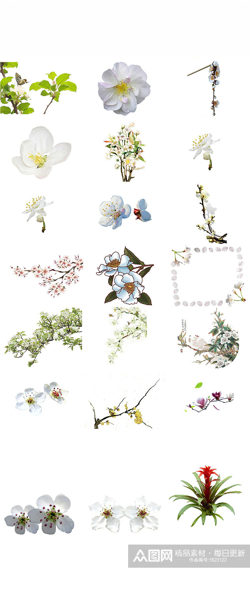 梨花白色植物绿叶梨花设计素材素材