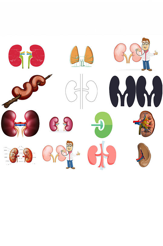人体器官肾造型形象免抠设计图
