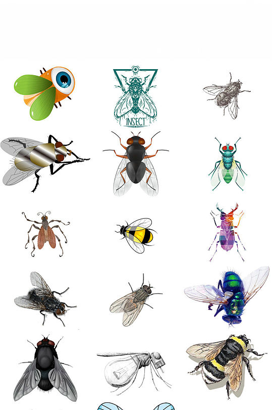 昆虫苍蝇形象设计图素材
