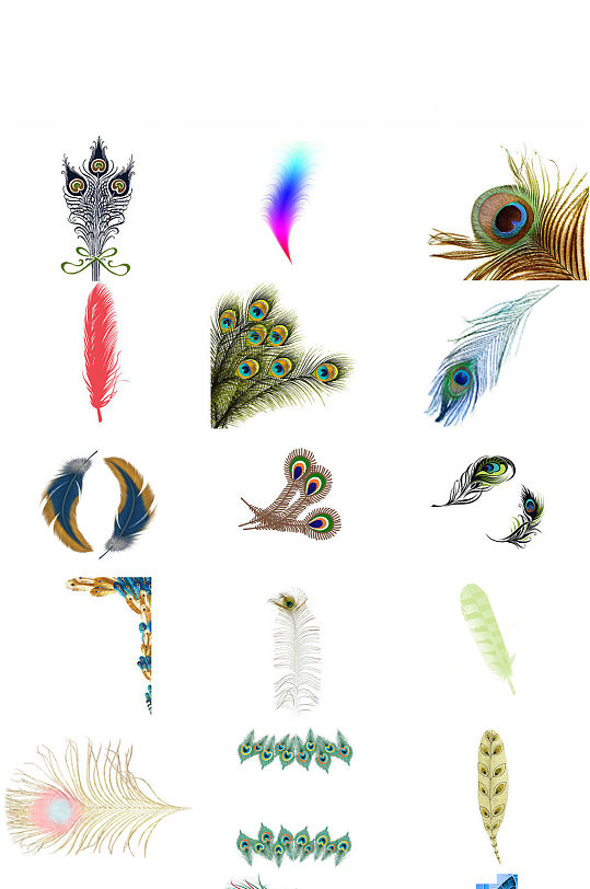孔雀羽毛凤凰羽毛动物羽毛鸟类郁羽毛