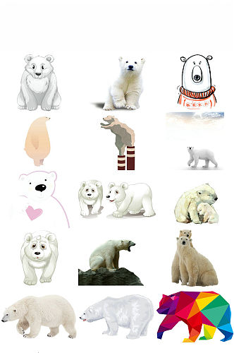 可爱北极熊图片素材