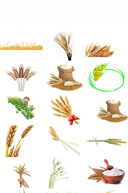 卡通小麦麦子免抠素材
