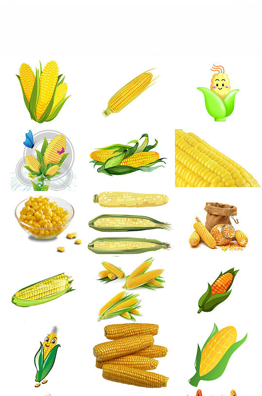 卡通手绘农作物玉米玉米杆玉米粒