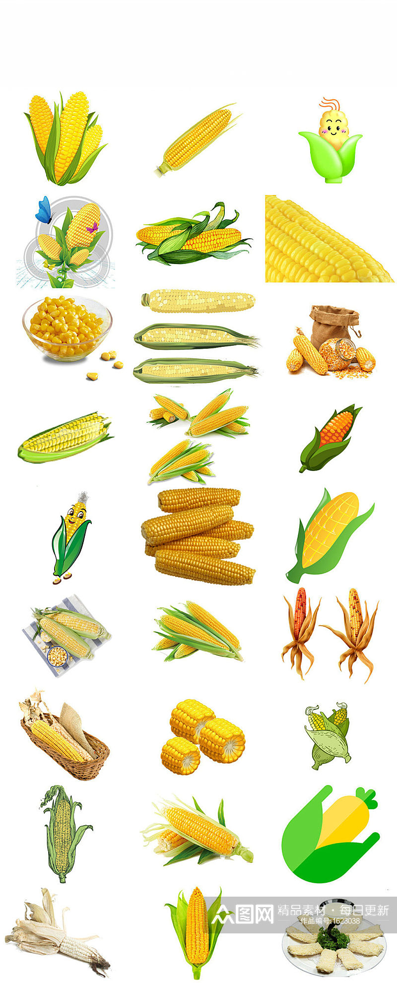 卡通手绘农作物玉米玉米杆玉米粒素材