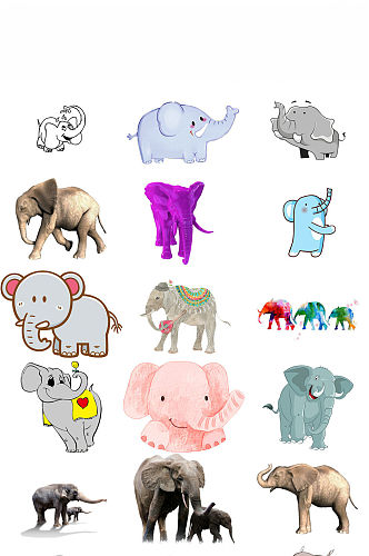 卡通动物大象海报设计免抠png图片
