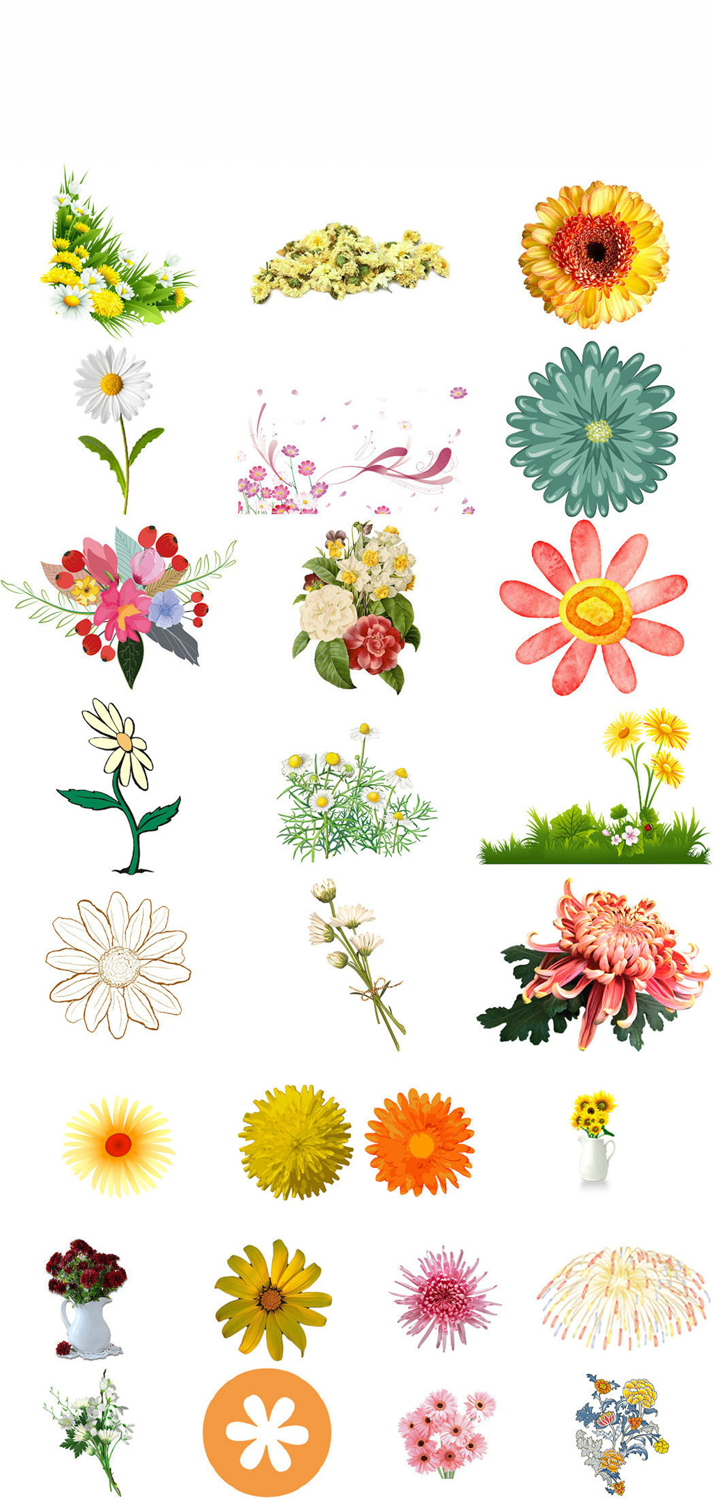 菊花茶菊花花朵素材png系列素材