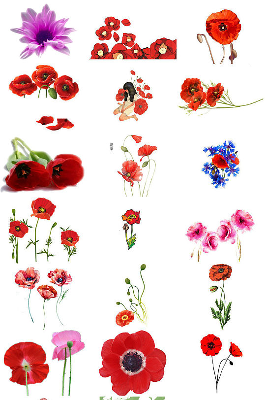 花朵罂粟花海报设计素材