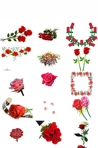 红玫瑰花免抠PNG透明图片素材