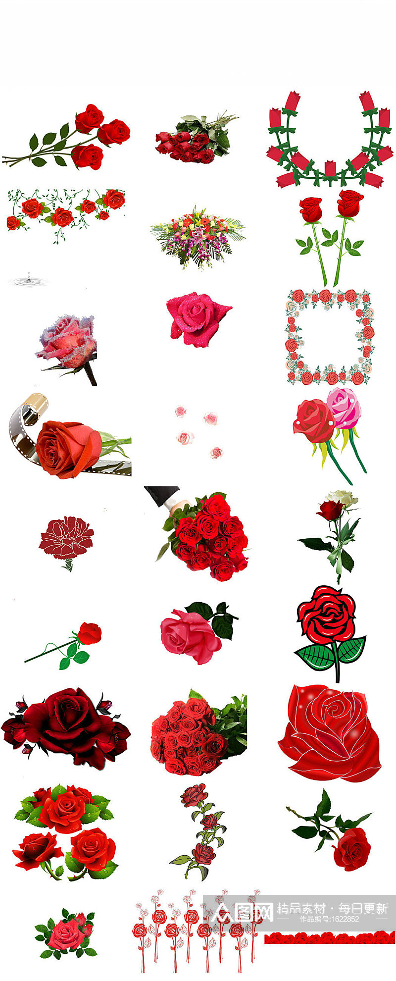 红玫瑰花免抠PNG透明图片素材素材