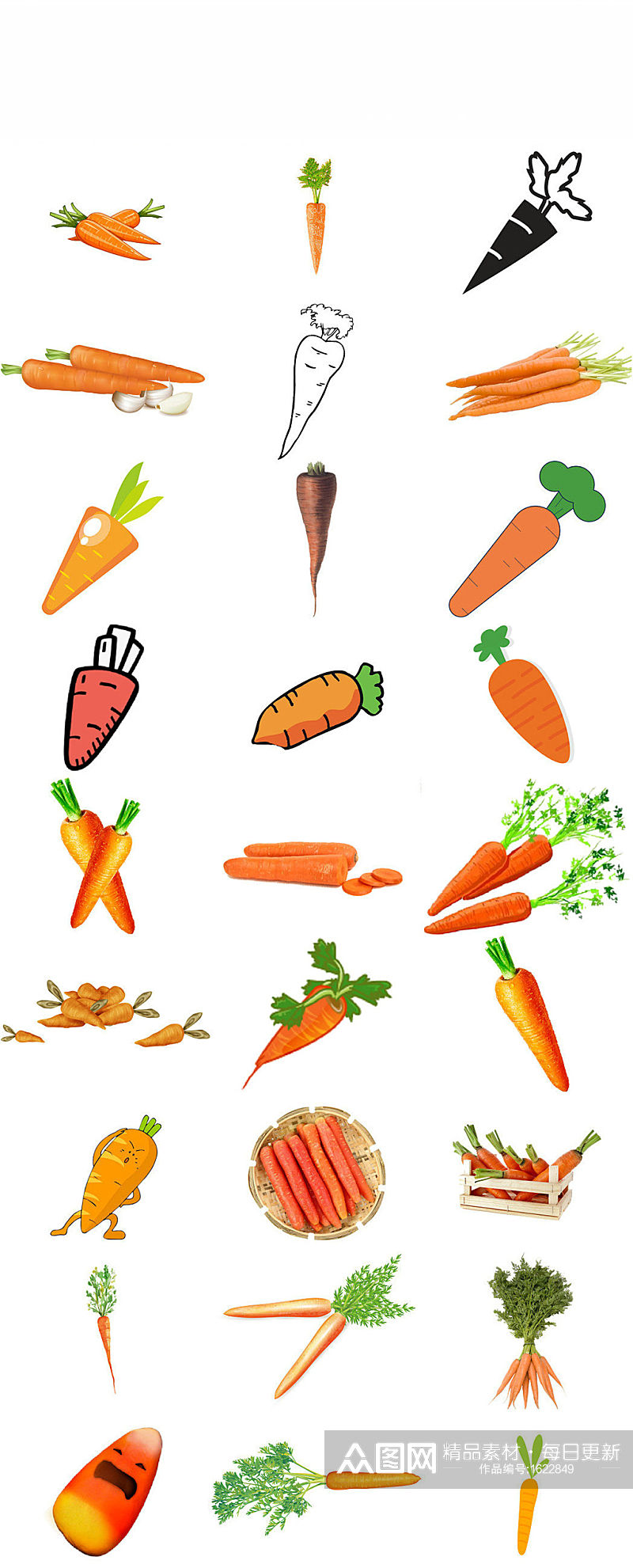 红胡萝卜新鲜有机蔬菜胡萝卜素材素材