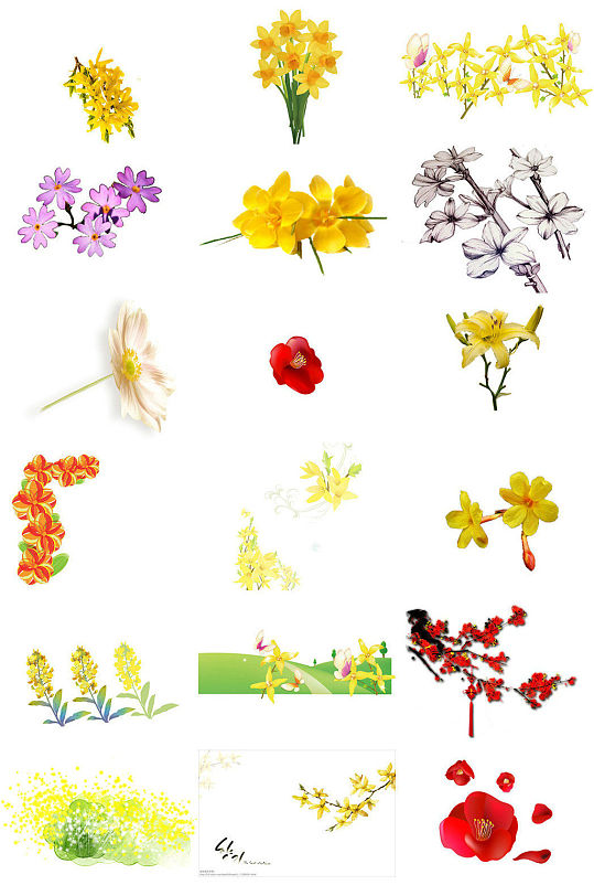 好一朵迎春花免抠png透明素材-众图网