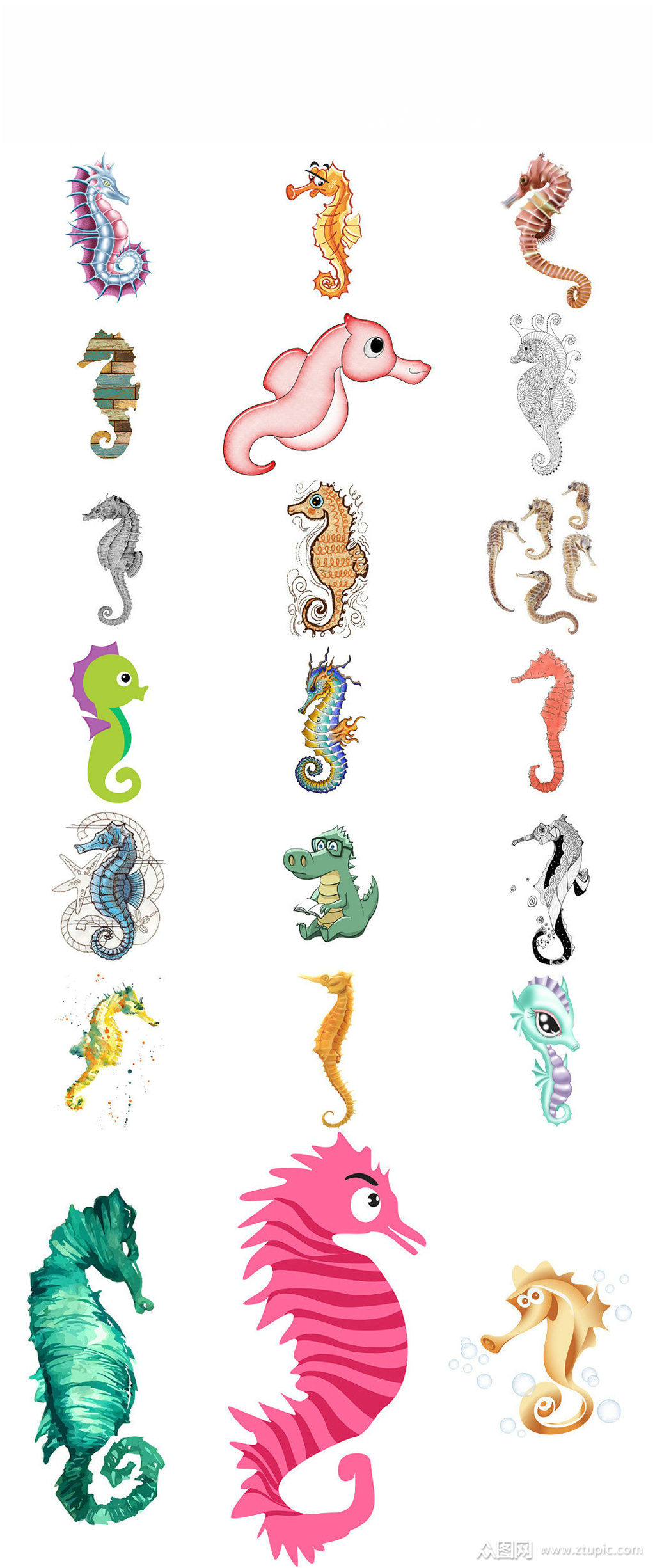 海底动物卡通海马免抠png素材