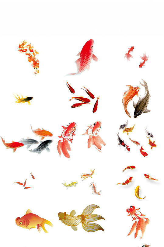古典中国风金鱼免抠png透明素材