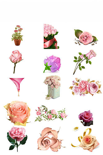高清粉色玫瑰图片素材png2