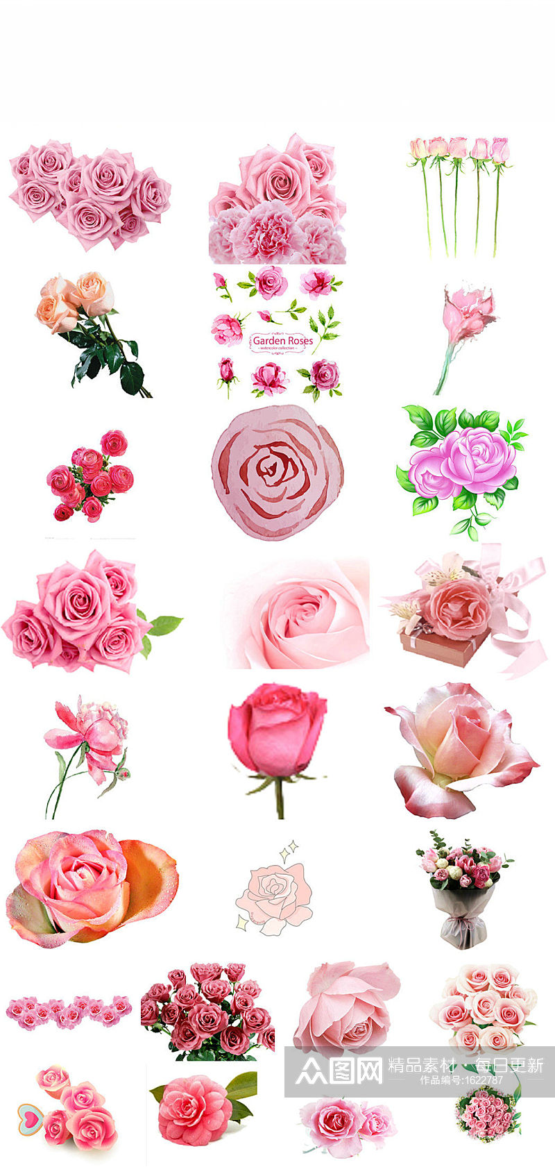 感恩节送给父母粉色玫瑰图片素材素材
