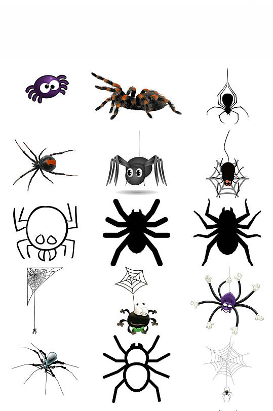 动物蜘蛛免抠png素材