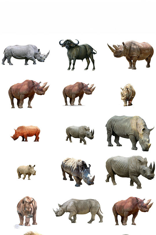 动物犀牛免抠png素材