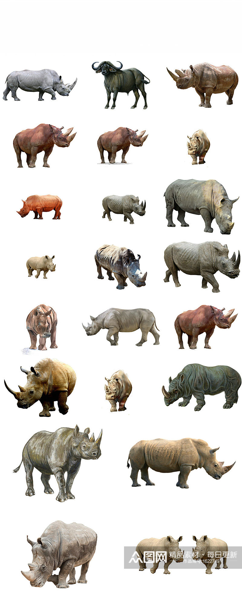 动物犀牛免抠png素材素材