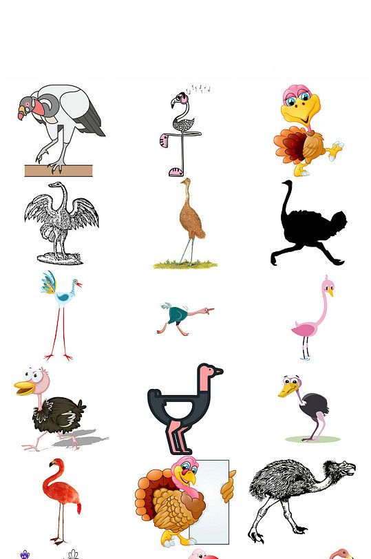 动物鸵鸟造型形象设计素材