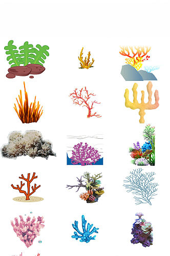 动物珊瑚免抠图片png素材
