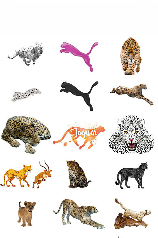 动物猎豹免抠png设计素材