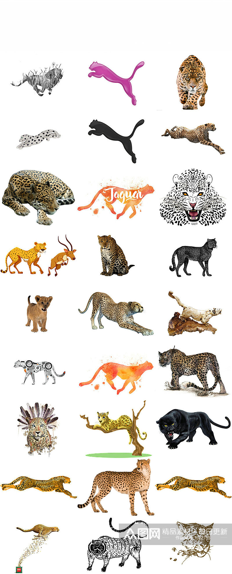 动物猎豹免抠png设计素材素材