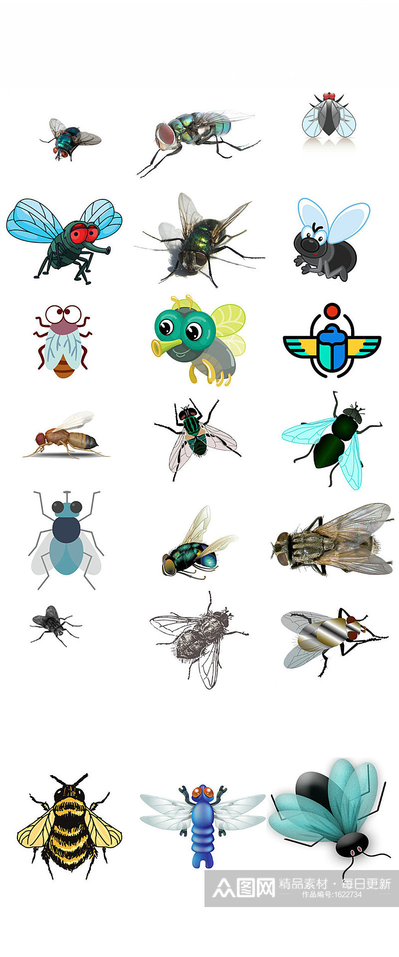 动物昆虫苍蝇免抠png图片素材