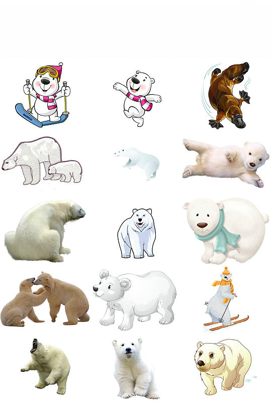 动物北极熊免抠png图片