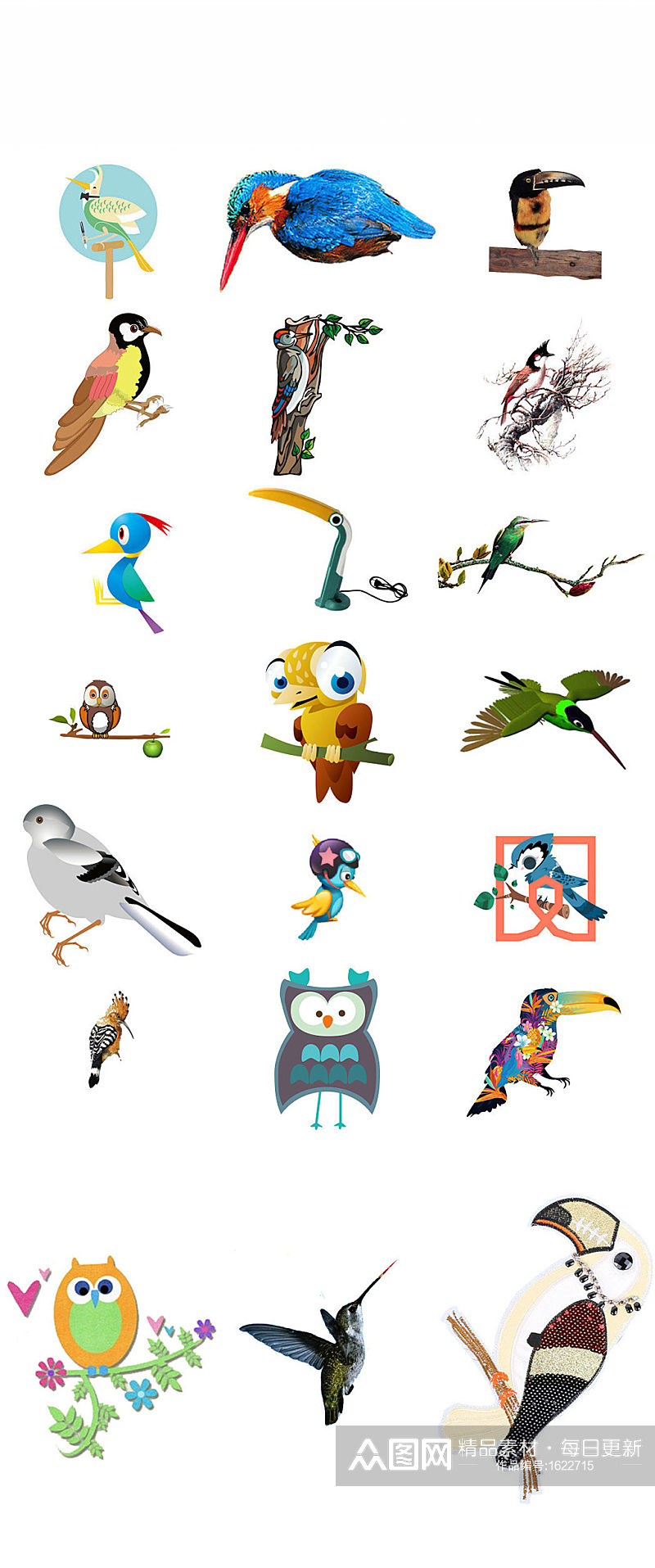 动物png鸟类啄木鸟海报设计素材素材