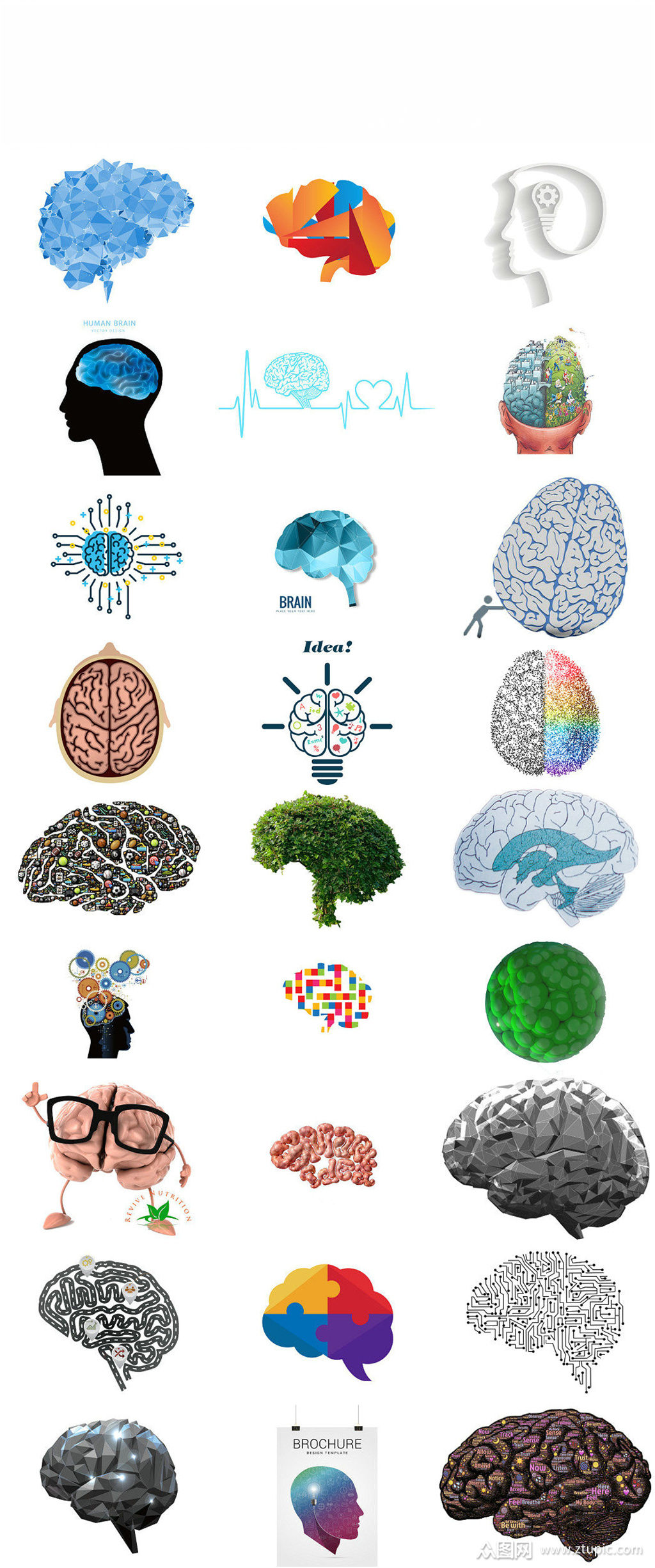 创意大脑设计模板下载