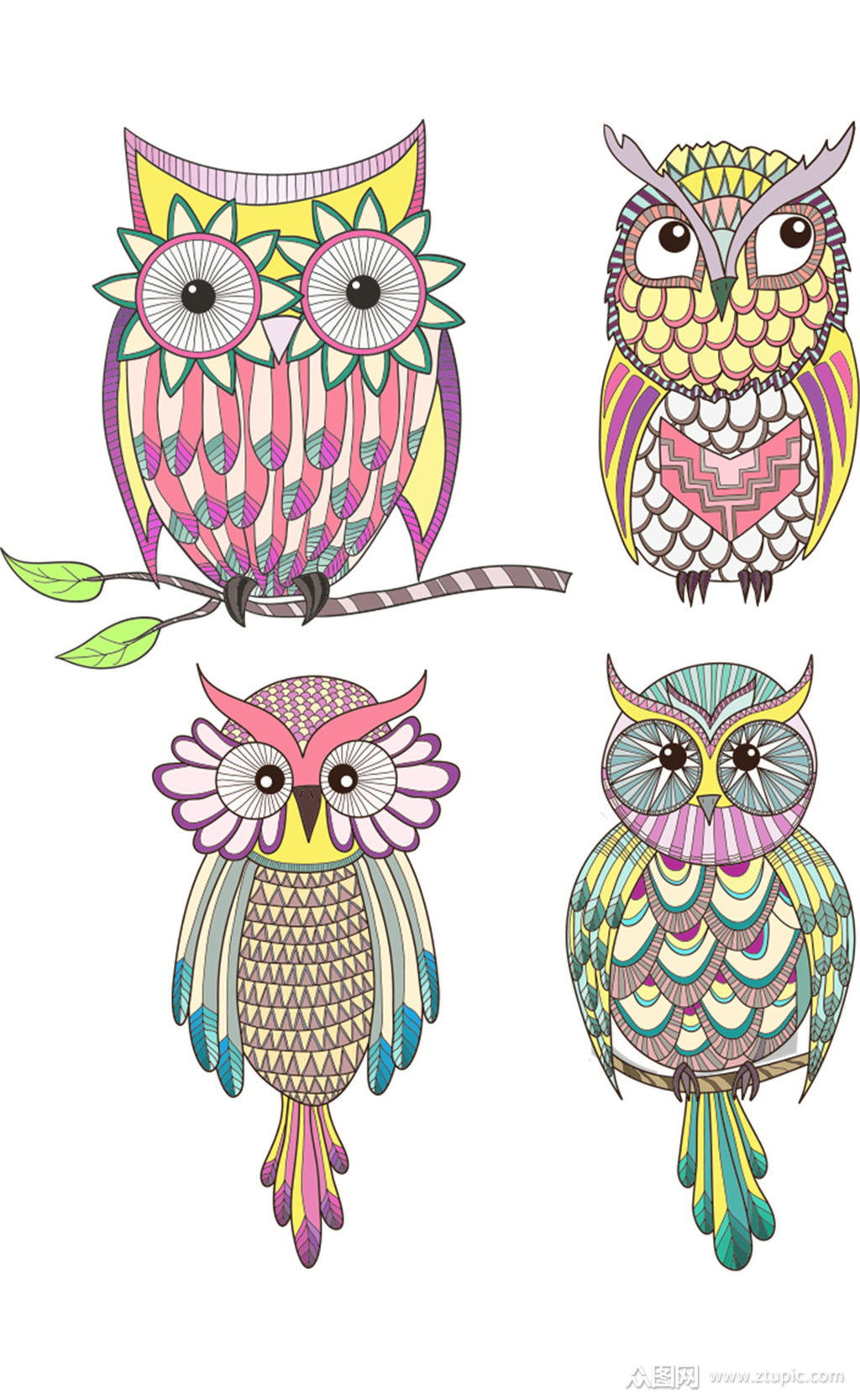 彩色猫头鹰免抠素材png