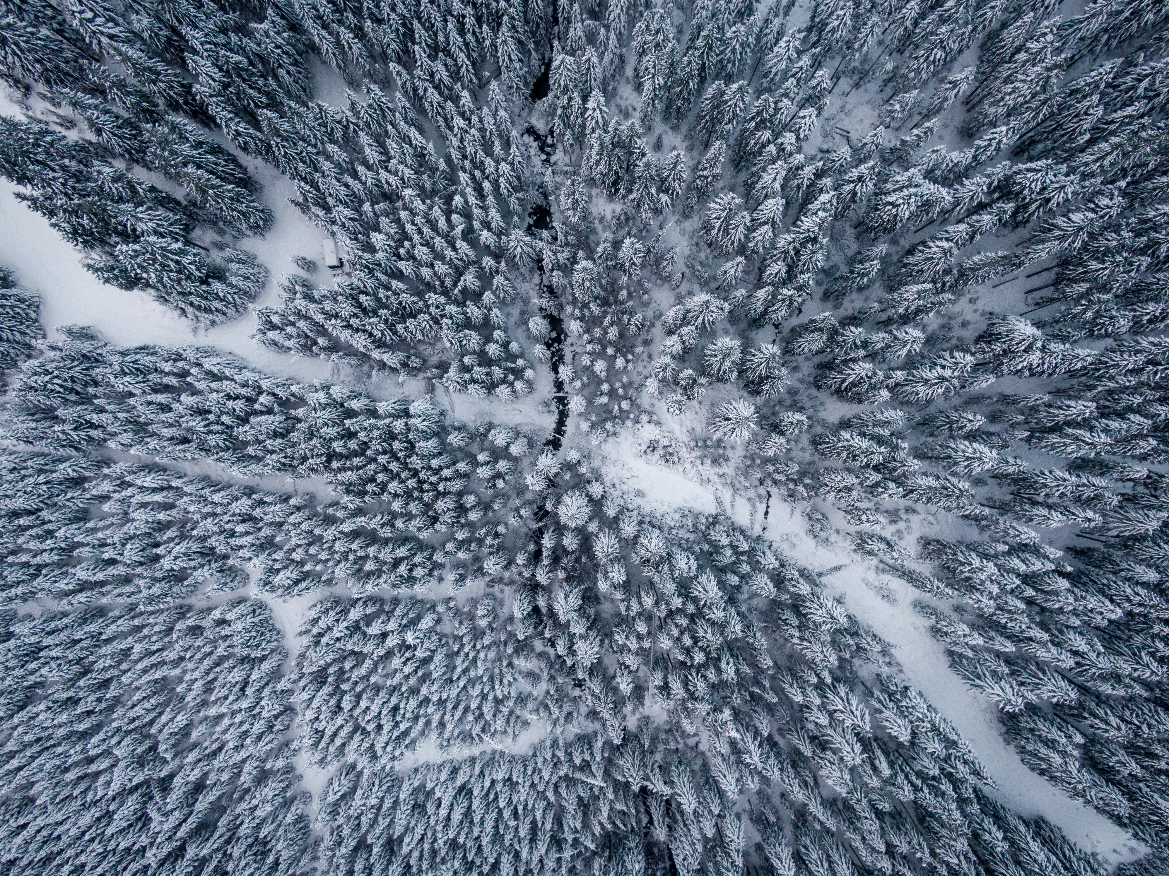 俯瞰雪覆森林全景素材