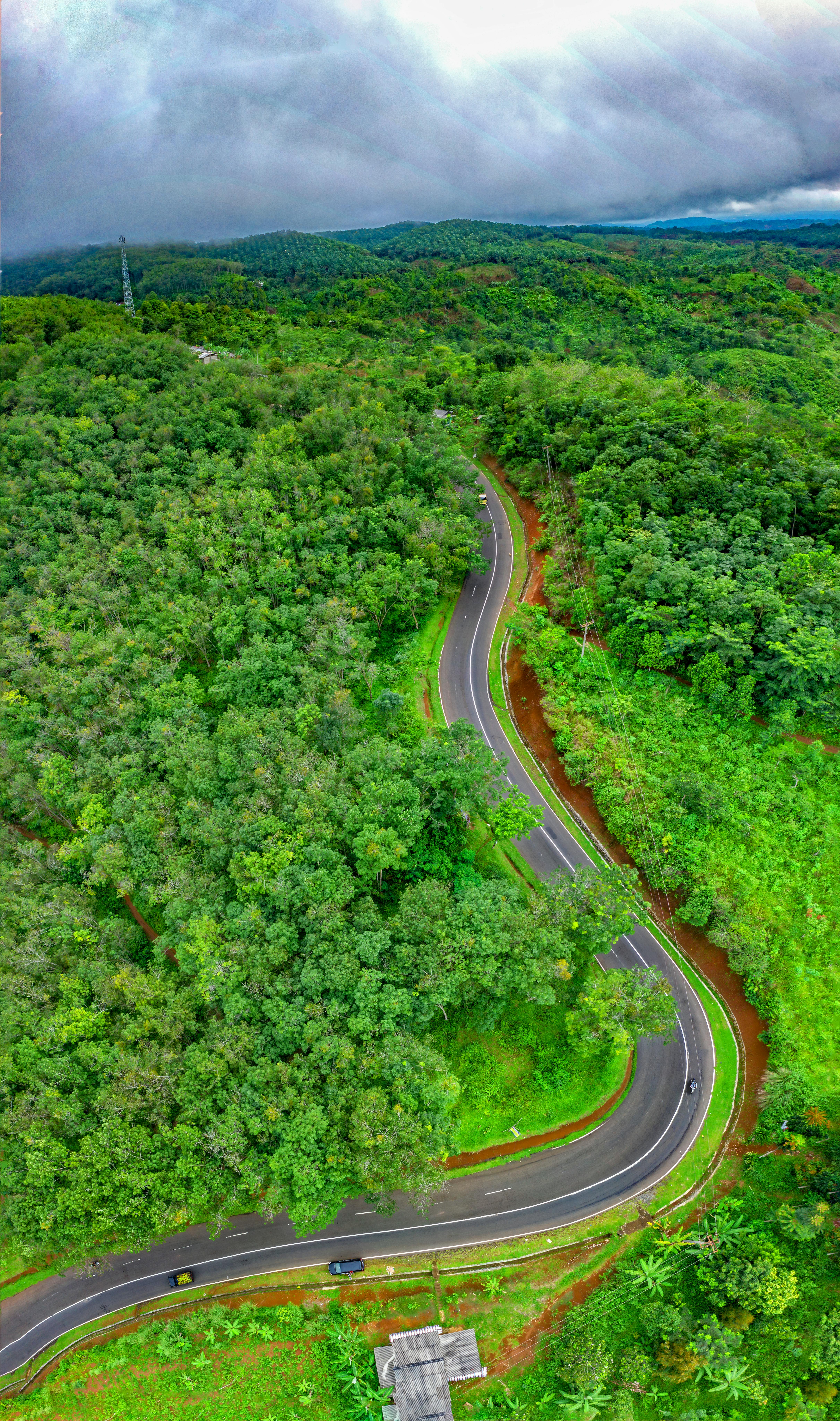 蜿蜒公路穿行于茂密森林之中素材