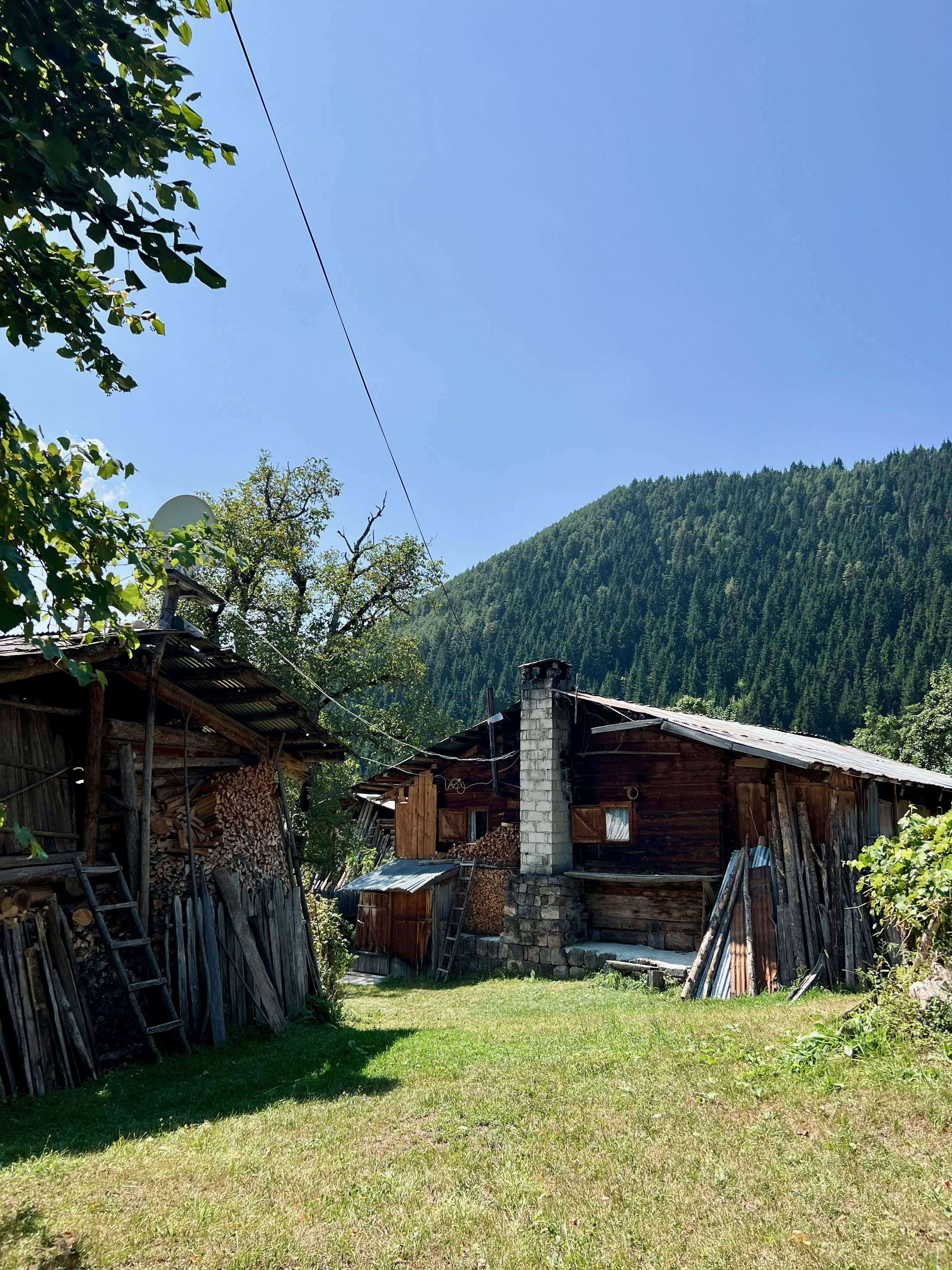乡村木屋与山林绿意素材