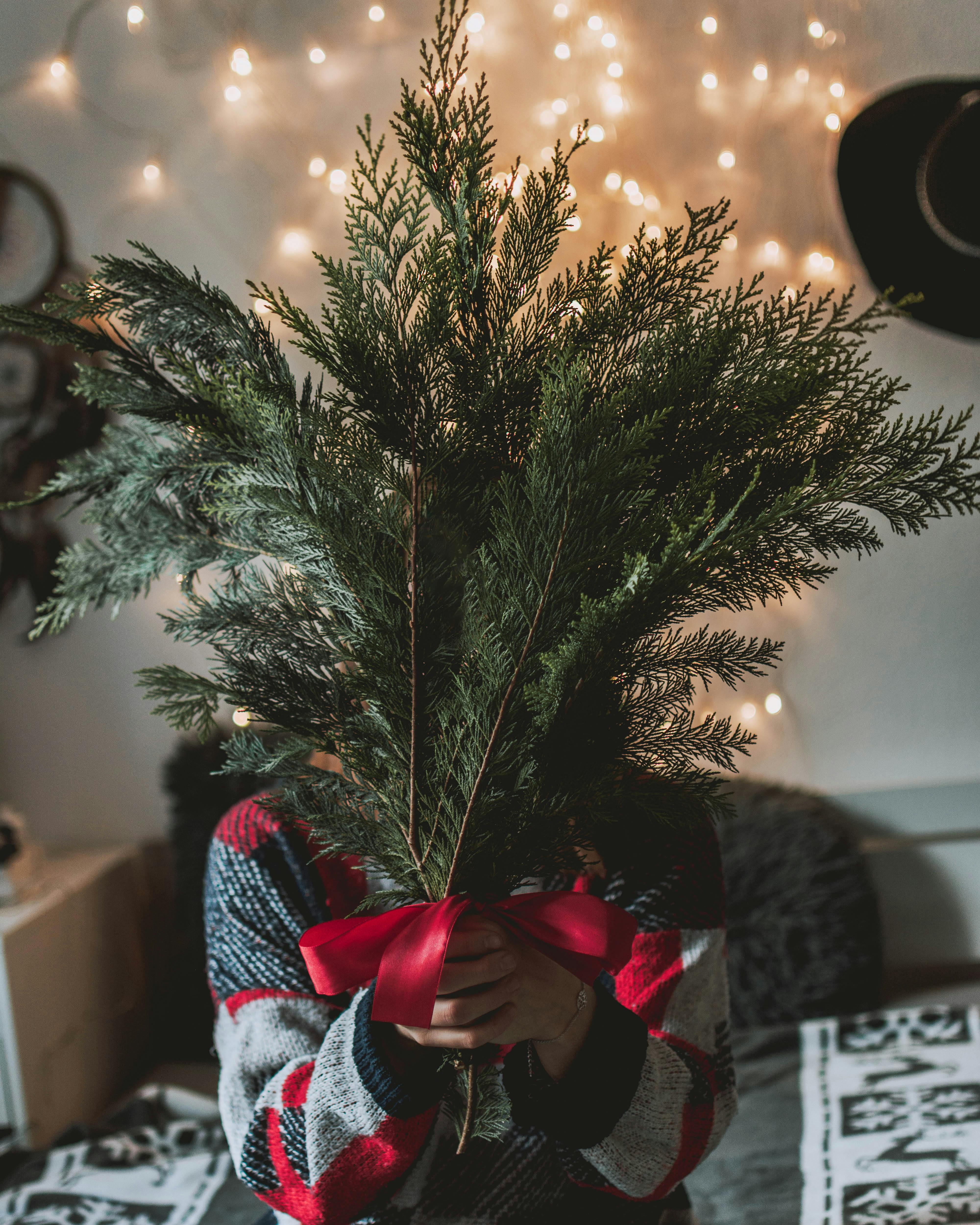 圣诞树遮面温馨节日氛围素材