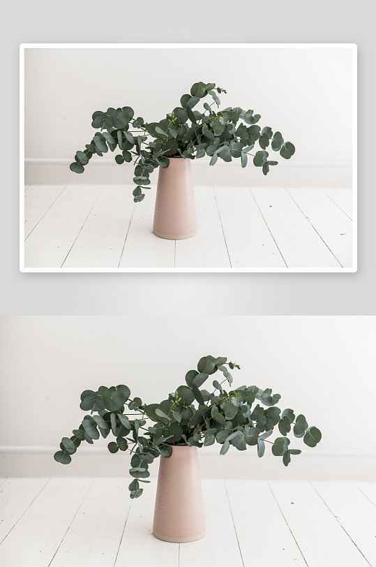 INS风绿叶图片摄影1