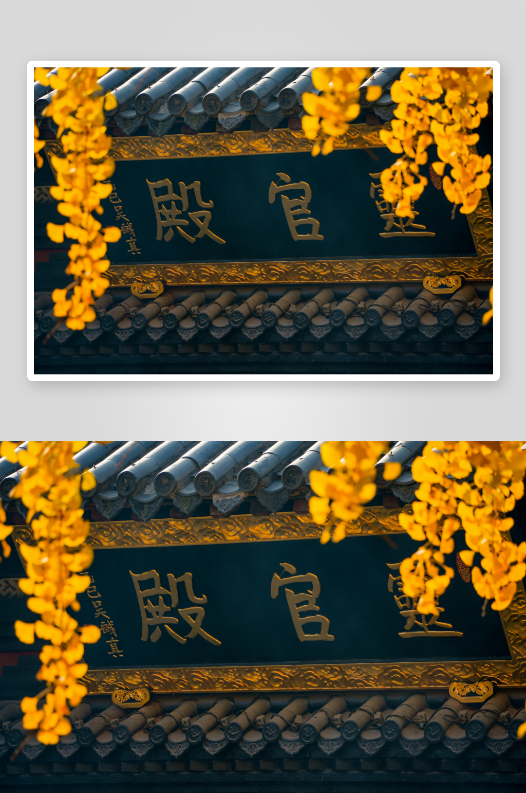 古建筑牌匾与黄花映衬素材