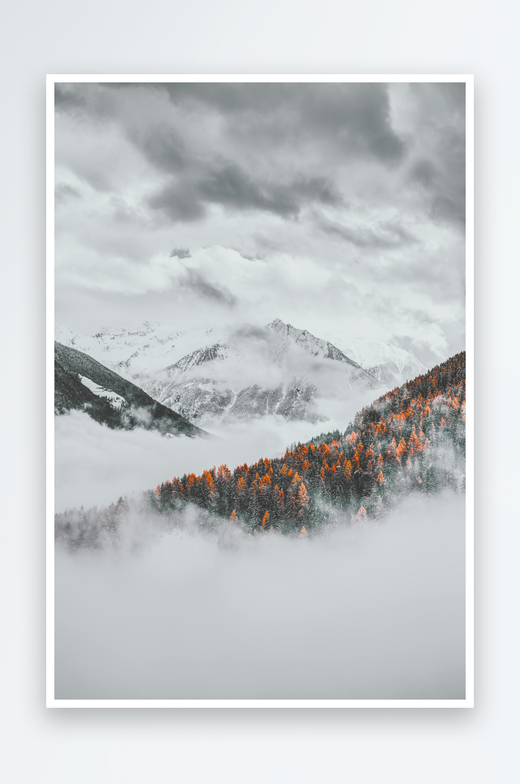 雪山云雾松林景色素材