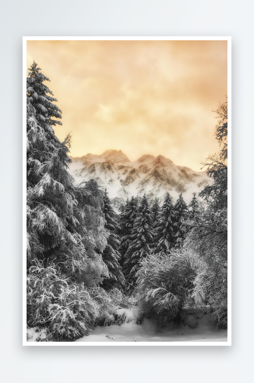 雪覆山林日暮景照片素材