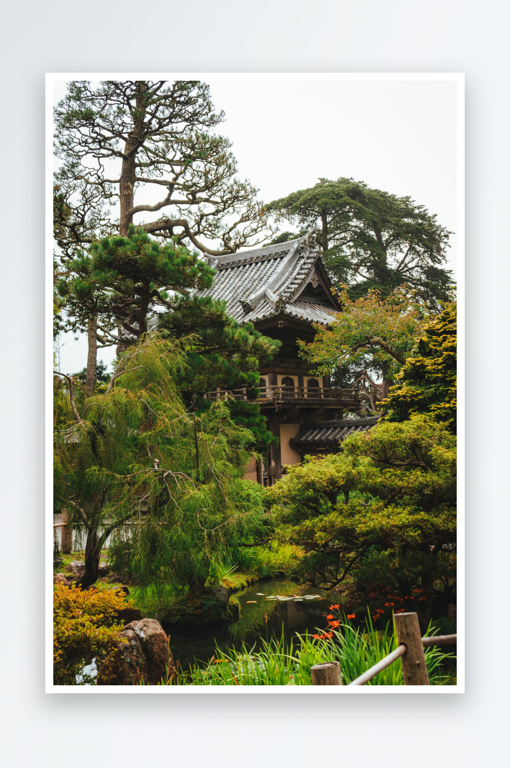 古朴庭院建筑与绿植环绕素材