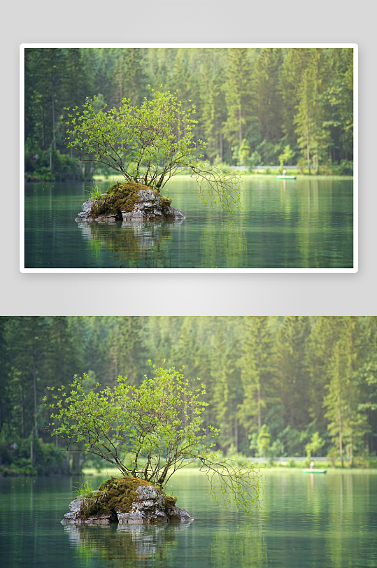 湖中小岛绿树成荫宁静致远-众图网