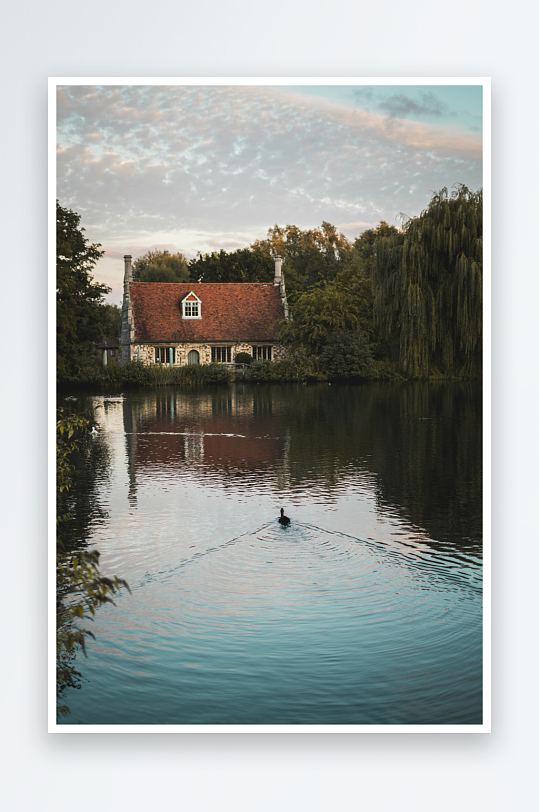 湖畔红顶小屋与游鸭-众图网