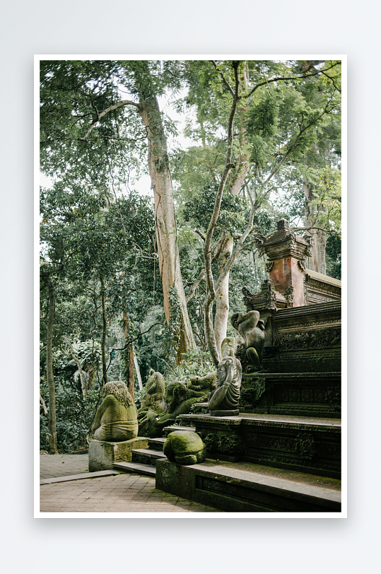 热带丛林中的石雕阶梯-众图网