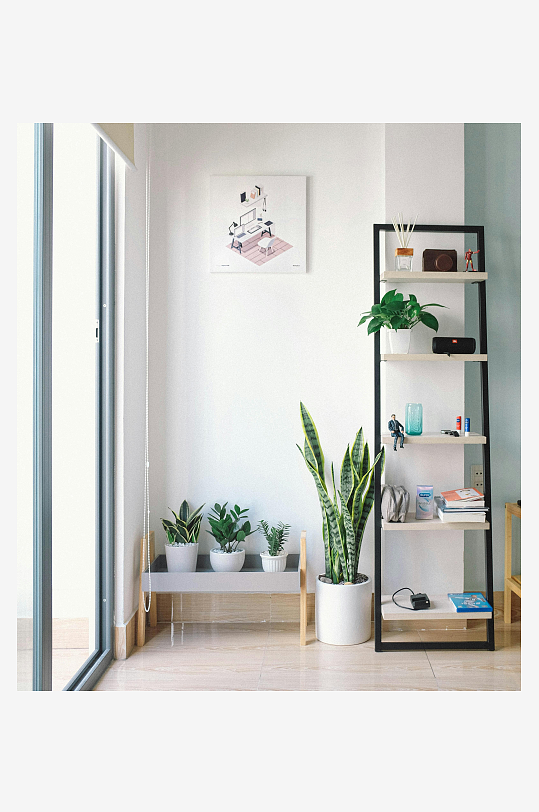 现代简约室内绿植与置物架-众图网