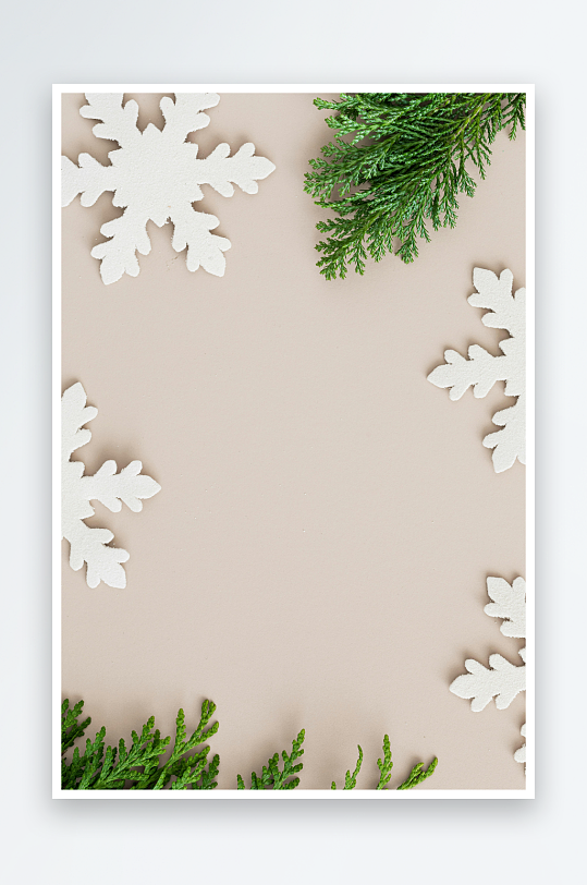 白色雪花与绿色枝叶的静物构图-众图网