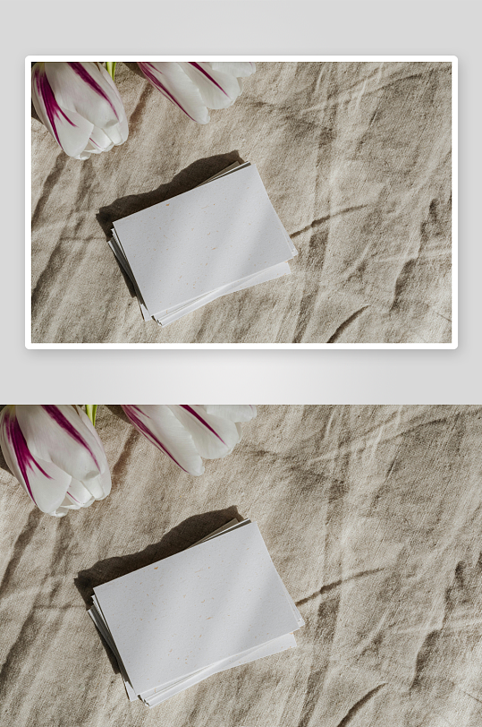 白花与卡片静物摆拍-众图网