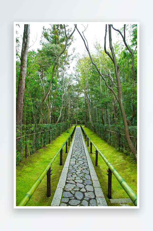 石板小径两旁绿树成荫-众图网