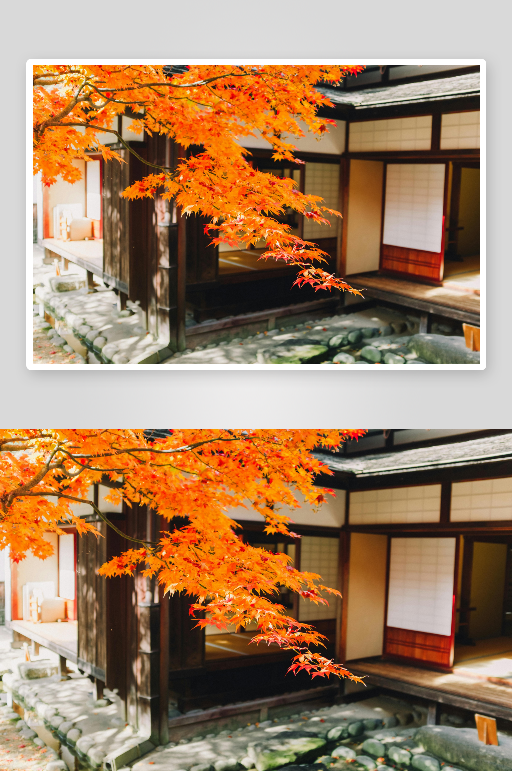 秋日庭院枫叶与传统建筑素材